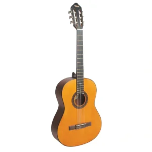 Guitare acoustique